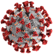 coronavirus
